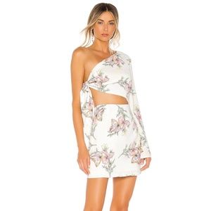 Revolve dress